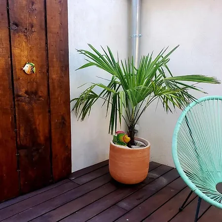 In The Heart Of Isle Sur La Sorgue With Private Terrace * L'Isle-sur-la-Sorgue